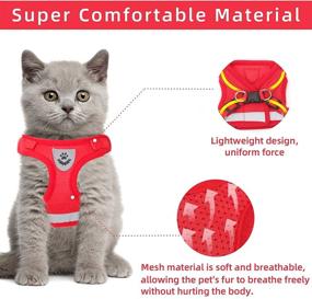 img 2 attached to Versatile Cat and Small Dog Vest Harness: All-Weather Mesh with Reflective Straps and Adjustable Fit for Walks