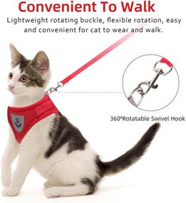 img 1 attached to Versatile Cat and Small Dog Vest Harness: All-Weather Mesh with Reflective Straps and Adjustable Fit for Walks