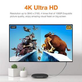 img 3 attached to Кабель HDMI высокой скорости Snowkids 15 футов (4K 60 Гц, HDMI 2.0, 18 Гбит/с) - Поддержка 4K HDR 3D 2160P 1080P HDCP 2.2 ARC Ethernet для 4K телевизора / HD телевизора монитора Blu-ray-серый.