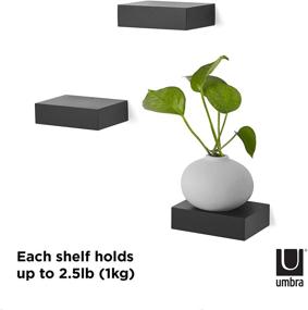 img 2 attached to Umbra 325560-040 Showcase Shelves Set: Stylish Black Floating Wall Shelf Trio for Small Objects Magnificently Displayed in Your Gallery