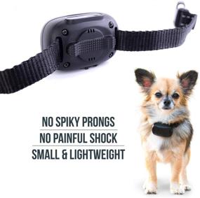 img 2 attached to 🐶 GoodBoy Dog Remote Collar with Enhanced Training Modes, Extended 2700ft Range - Suitable for Small, Medium, and Large Dogs