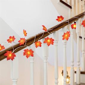 img 1 attached to 🍁 Fall Maple Leaves String Lights - 2 Sets: 20 Feet, 40 LED Battery Powered Maple Leaf Lights for Thanksgiving, Autumn Garland Lights, Party Indoor Outdoor Ornaments