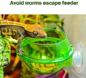 img 3 attached to Gecko Lizard Chameleon Reptile Feeder - Suction Cup Food Bowl for Anti-Escape, Chameleon Bowl, Live Worm Fodder Container, Worm Feeding Bowl - Accessories & Supplies for Reptiles