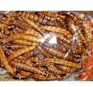 картинка 1 прикреплена к отзыву 🦎 10 фунтов премиум сушеных мучных червей без ГМО для рептилий, черепах, амфибий, ящериц, диких птиц, кур, уток и многого другого от Gelin Battle