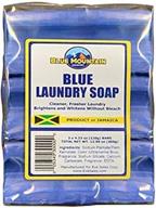 blue laundry soap 4 23 oz logo