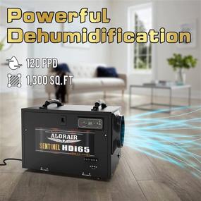img 3 attached to ALORAIR 120 PPD Commercial Dehumidifiers: Powerful Basement & Crawl Space Dehumidifier with Pump, Industry-Leading Water Damage Solution, Compact & Portable, Auto Defrost, Memory Starting, 5 Years Warranty