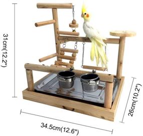 img 2 attached to 🦜 Borangs Parrots Playstand: A Perfect Bird Playground for Electus, Cockatoo, Parakeet, Conure, and Cockatiel Cage Accessories
