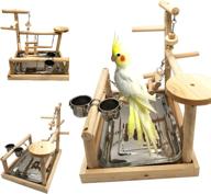🦜 "borangs parrots playstand: идеальная площадка для птиц для электуса, кокату, попугая-неразлучника, канюра и кокатиэля - аксессуары для клетки логотип