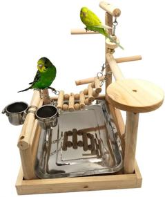 img 1 attached to 🦜 Borangs Parrots Playstand: A Perfect Bird Playground for Electus, Cockatoo, Parakeet, Conure, and Cockatiel Cage Accessories