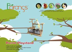 img 3 attached to 🦜 Borangs Parrots Playstand: A Perfect Bird Playground for Electus, Cockatoo, Parakeet, Conure, and Cockatiel Cage Accessories