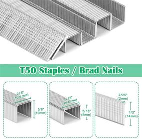 img 2 attached to AECCN Heavy Staples Nails 7000 Count