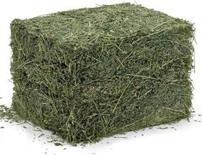 img 1 attached to 🥦 Premium Dried Alfalfa Hay: Ideal Nutritious Feed for Rabbits, Guinea Pigs, Chinchillas, and Ferrets - High Protein and Fiber Content - Healthy Small Animal Diet