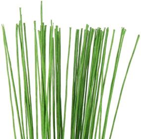 img 1 attached to Decora 24 Gauge Green Floral Wire: Versatile 🌿 Paper-Wrapped Stem Wires for Crafts - 16 inch, 50/Package