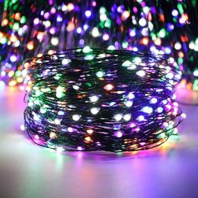 img 1 attached to ER CHEN Color Changing LED Fairy Lights with Remote Control - 39.5Ft 100 LED Green Copper Wire Plug-in String Lights, 8 Modes Christmas Lights with Timer for Bedroom, Patio, Garden, Yard - Warm White & Multicolor