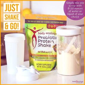 img 3 attached to 🌱 Best Vegan Fermented Probiotic Protein Shake Powder, Organic & Non-GMO, Gluten-Free, Dairy-Free – 15g Protein, No Added Sugar – 23 Servings