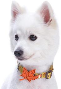 img 3 attached to Vibrant and Festive: Blueberry Pet 10 🎃 Patterns Fall Halloween Thanksgiving Dog Collars and Collar Covers