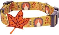 vibrant and festive: blueberry pet 10 🎃 patterns fall halloween thanksgiving dog collars and collar covers logo