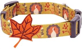 img 4 attached to Vibrant and Festive: Blueberry Pet 10 🎃 Patterns Fall Halloween Thanksgiving Dog Collars and Collar Covers