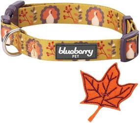 img 1 attached to Vibrant and Festive: Blueberry Pet 10 🎃 Patterns Fall Halloween Thanksgiving Dog Collars and Collar Covers