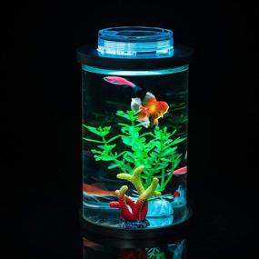 img 2 attached to 🐠 Kotaffo Mini Fish Tank with Remote-Control Multi-Color LED System, 0.5 Gallon Aquarium Starter Kit, Desktop Decoration That Supports Plant Growth, Ideal Birthday Gift and Home/ Workplace Décor