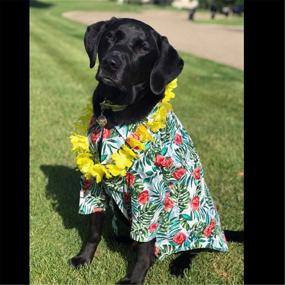 img 1 attached to 🐶 COUTUDI Large Dog Hawaiian Shirt with Aloha Flower & Pineapple Design, Sizes 3XL to 6XL, Perfect for Large Breeds in Alaska and Hatch