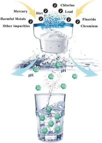 img 1 attached to 🔄 Hskyhan Alkaline Water Filter Replacement: Boost Your Water's Alkalinity and Viability