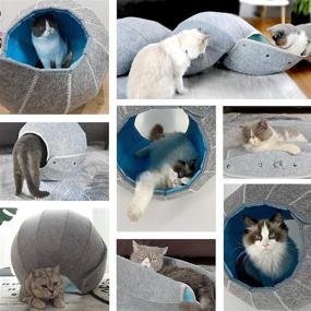 img 3 attached to 🐱 HONEY CARE N-in-1 Cat Bed: Reversible, Transformable, Foldable Felt Cave for Cats – Ocean Blue & Light Grey