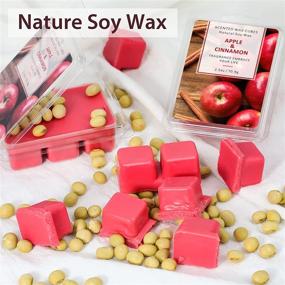 img 2 attached to STRN Wax Melts: Highly Scented Apple Cinnamon Wax Cubes for Wax Warmers