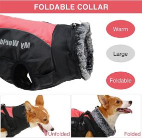 img 1 attached to 🐶 Warm Dog Coats with Attached Harness: Stylish Winter Jacket for Cold Weather