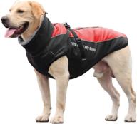 🐶 warm dog coats with attached harness: stylish winter jacket for cold weather логотип