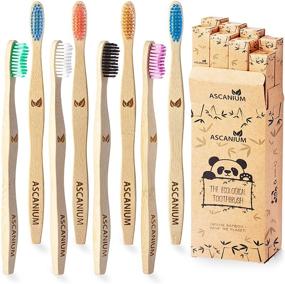 img 4 attached to 🌿 Natural Bamboo Charcoal Toothbrush: Biodegradable, Eco-Friendly, Organic Toothbrushes with Wooden Handle - Ideal for Family and Kids