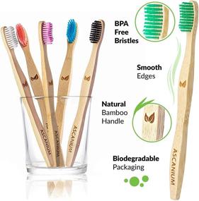 img 3 attached to 🌿 Natural Bamboo Charcoal Toothbrush: Biodegradable, Eco-Friendly, Organic Toothbrushes with Wooden Handle - Ideal for Family and Kids