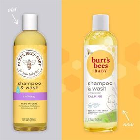 img 3 attached to 🍯 Burt's Bees Baby Shampoo & Wash: Tear-Free Calming Soap - 12oz Bottle