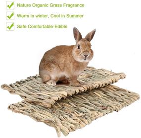 img 1 attached to 🐇 KISSTAKER Rabbits House with Bedding Mat: Hand-Woven Grass Hideout & Chew Toy Playhouse for Guinea Pigs, Chinchilla, Small Animals