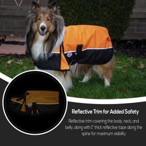 img 1 attached to 🐶 Top-notch Protection: Derby Originals Dog Coat for Ultimate Comfort and Style