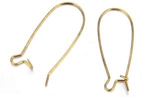 img 2 attached to Hypoallergenic Earring Earwire Earrings Findings