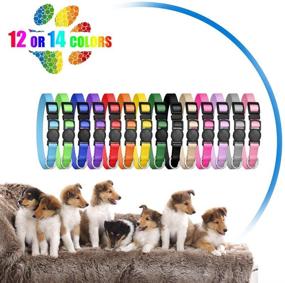 img 1 attached to 🐶 12 Piece Puppy Collars for Litter Identification - Whelping ID Collars with Safety Buckle - Soft Nylon Breakaway Collars - Includes 6 Record Keeping Charts