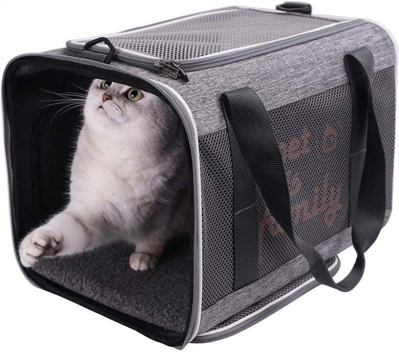 petisfam carrier designed especially sensitive 로고