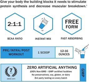 img 2 attached to 🔥 Промикс Женщины Ягодный BCAA порошок: мгновенные ферментированные эссенциальные аминокислоты для веганов, кето, палео и не содержащий ГМО, глютена и сои для поста на основе форм фастинга | 100% Чистый ускоритель производительности перед окончательной обрезкой