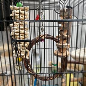 img 2 attached to 🐦 7-Piece Natural Wood Bird Perch Swing Chewing Toys Set for Small Parakeets, Cockatiels, Conures, Finches, Budgie, Macaws, Parrots, Love Birds - LIMIO Bird Cage Toys