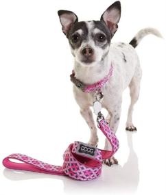 img 2 attached to DOOG - 'Clip-It' Neoprene Leash for Dogs - Odie