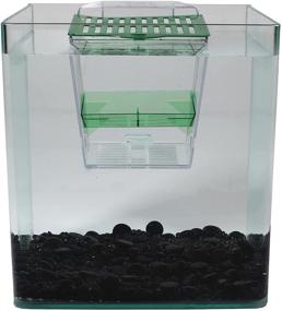 img 2 attached to Penn-Plax Multipurpose Fish Tank: Innovative Enclosure for Breeding, Fry Nursery, and Isolation in Established Aquariums - Breed N’ Show Trap