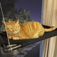 dysano cat window perch - space saving cat hammock bed for large cats with powerful suction cups and free fleece blanket logo