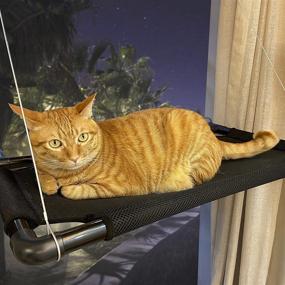 img 4 attached to Dysano Cat Window Perch - Space Saving Cat Hammock Bed for Large Cats with Powerful Suction Cups and Free Fleece Blanket