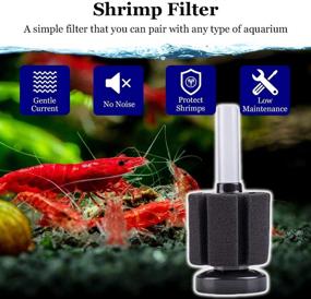 img 2 attached to 🦐 JOR Shrimp Filter: Underwater Center Aquarium Filter for Shrimp, Crayfish, Tropical Fish, and Breeders – Must-Have for Aquarium Enthusiasts in 10-Gallon Tanks