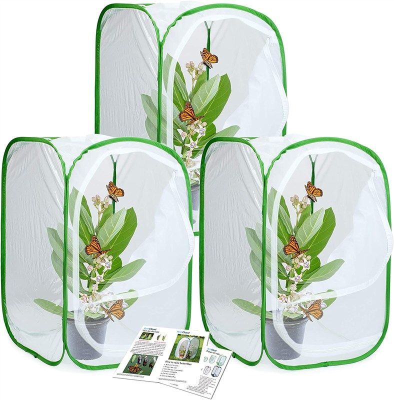 restcloud 3 pack butterfly habitat terrarium 로고