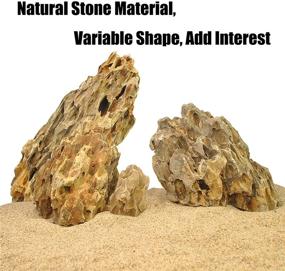 img 2 attached to 🐉 Premium Ohko Dragon Stone Rock 4.5lbs: Aquascaping Decorations for Aquarium, Reptile & Amphibian Tanks - PH Neutral, Gorgeous Aquascape, Mixed Sizes, Gravel Rock Iwagumi - Buy Now!