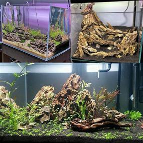 img 3 attached to 🐉 Premium Ohko Dragon Stone Rock 4.5lbs: Aquascaping Decorations for Aquarium, Reptile & Amphibian Tanks - PH Neutral, Gorgeous Aquascape, Mixed Sizes, Gravel Rock Iwagumi - Buy Now!