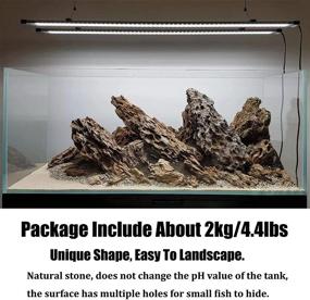 img 1 attached to 🐉 Premium Ohko Dragon Stone Rock 4.5lbs: Aquascaping Decorations for Aquarium, Reptile & Amphibian Tanks - PH Neutral, Gorgeous Aquascape, Mixed Sizes, Gravel Rock Iwagumi - Buy Now!