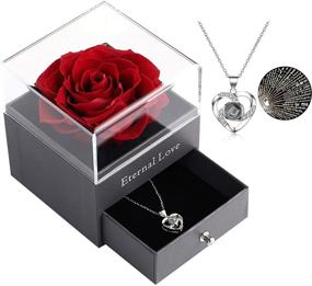 img 4 attached to 💝 Valentine's Day Gift Set: Preserved Real Rose with Silver-Tone Heart Necklace - Enchanted Red Rose Flower for Anniversary, Wedding, Romantic Gifts for Her